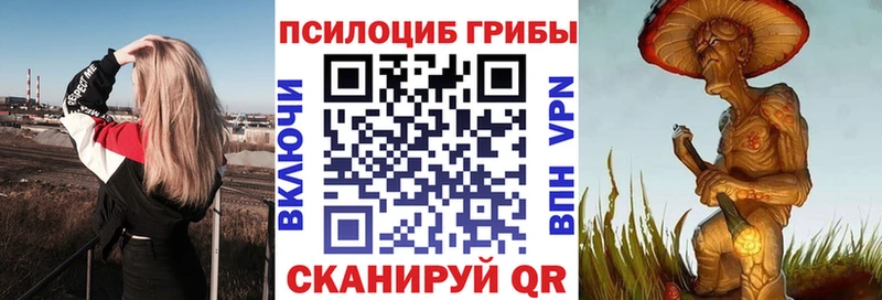 Псилоцибиновые грибы мухоморы  мориарти наркотические препараты  Ядрин 